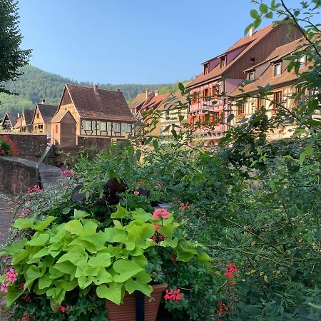 Studio Cosy Kaysersberg Centre Dış mekan fotoğraf