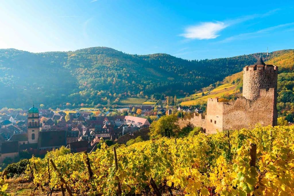 Studio Cosy Kaysersberg Centre Dış mekan fotoğraf